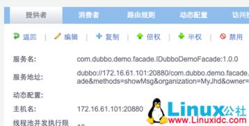 解决Dubbo无法访问远程ZooKeeper已注册服务的常见问题与互联网域名注册服务的关系探讨