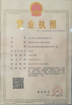 连云港金云网络科技 聚焦互联网域名注册服务的专业先锋
